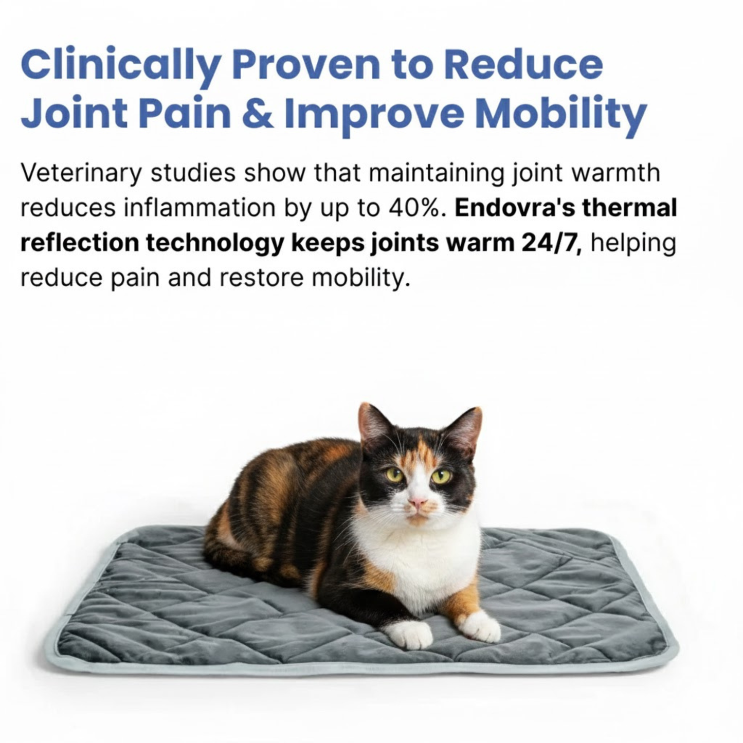 STOP JOINT HEAT LOSS – RESTORE MOBILITY & COMFORT!
