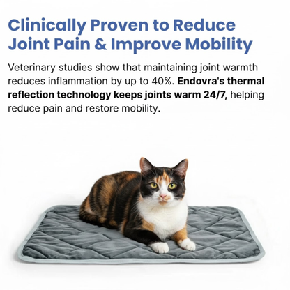 STOP JOINT HEAT LOSS – RESTORE MOBILITY & COMFORT!